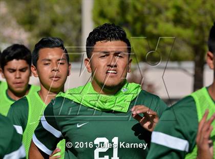 Thumbnail 3 in Adelson vs. Virgin Valley photogallery.