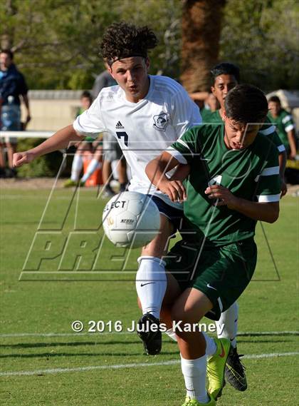 Thumbnail 1 in Adelson vs. Virgin Valley photogallery.
