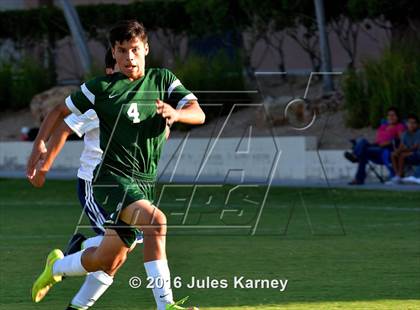 Thumbnail 1 in Adelson vs. Virgin Valley photogallery.