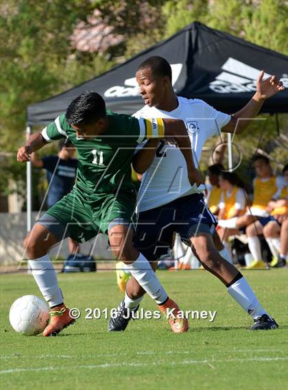 Thumbnail 1 in Adelson vs. Virgin Valley photogallery.