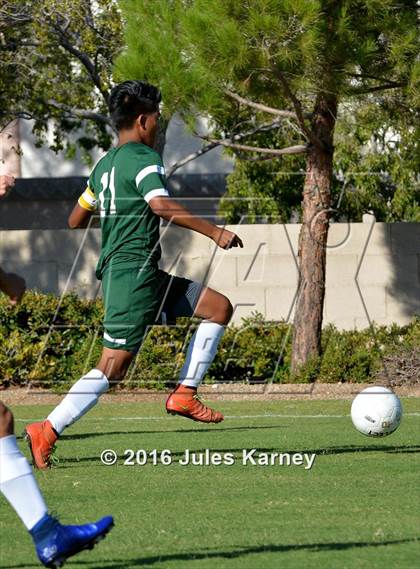Thumbnail 3 in Adelson vs. Virgin Valley photogallery.