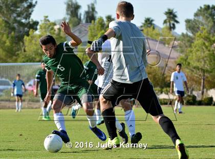 Thumbnail 1 in Adelson vs. Virgin Valley photogallery.
