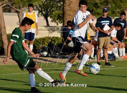 Thumbnail 3 in Adelson vs. Virgin Valley photogallery.