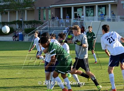 Thumbnail 1 in Adelson vs. Virgin Valley photogallery.