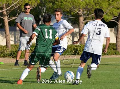 Thumbnail 2 in Adelson vs. Virgin Valley photogallery.