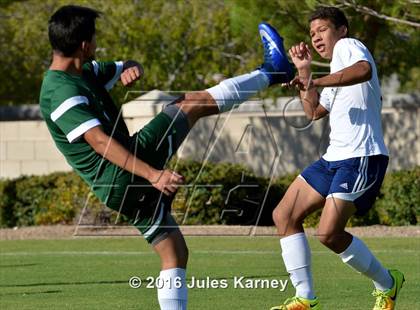 Thumbnail 3 in Adelson vs. Virgin Valley photogallery.