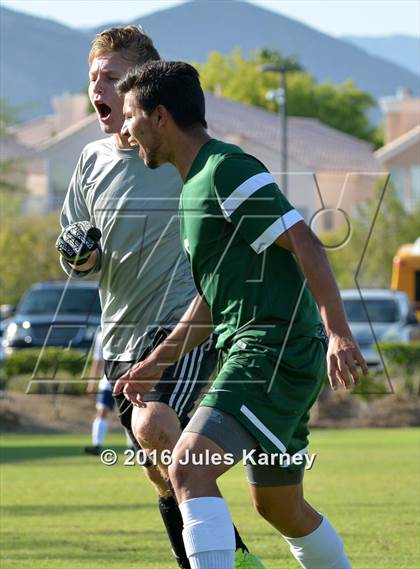 Thumbnail 3 in Adelson vs. Virgin Valley photogallery.