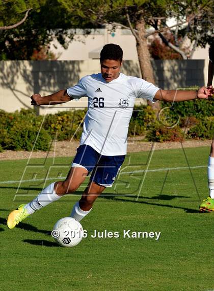 Thumbnail 3 in Adelson vs. Virgin Valley photogallery.