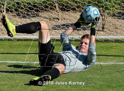 Thumbnail 1 in Adelson vs. Virgin Valley photogallery.