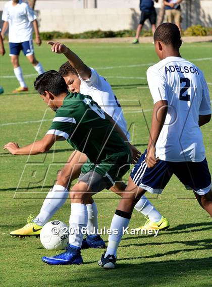 Thumbnail 3 in Adelson vs. Virgin Valley photogallery.