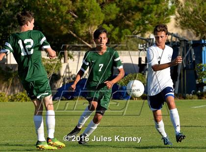 Thumbnail 3 in Adelson vs. Virgin Valley photogallery.