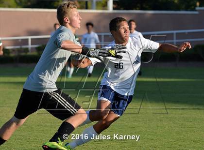 Thumbnail 3 in Adelson vs. Virgin Valley photogallery.