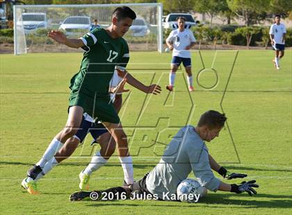 Thumbnail 1 in Adelson vs. Virgin Valley photogallery.