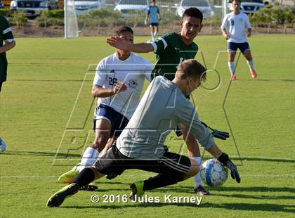 Thumbnail 3 in Adelson vs. Virgin Valley photogallery.