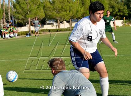 Thumbnail 3 in Adelson vs. Virgin Valley photogallery.