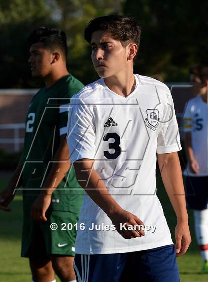 Thumbnail 3 in Adelson vs. Virgin Valley photogallery.