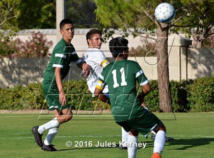 Thumbnail 2 in Adelson vs. Virgin Valley photogallery.