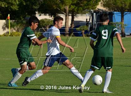 Thumbnail 2 in Adelson vs. Virgin Valley photogallery.