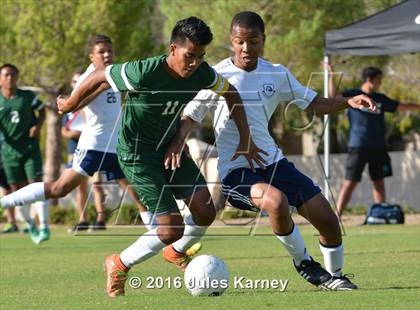 Thumbnail 1 in Adelson vs. Virgin Valley photogallery.