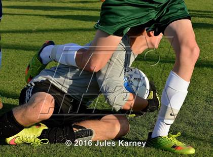 Thumbnail 3 in Adelson vs. Virgin Valley photogallery.