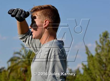 Thumbnail 2 in Adelson vs. Virgin Valley photogallery.