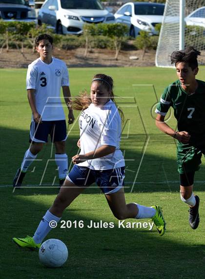 Thumbnail 2 in Adelson vs. Virgin Valley photogallery.