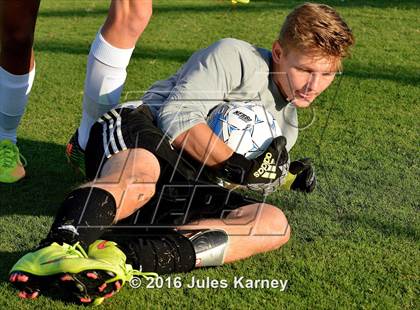 Thumbnail 2 in Adelson vs. Virgin Valley photogallery.