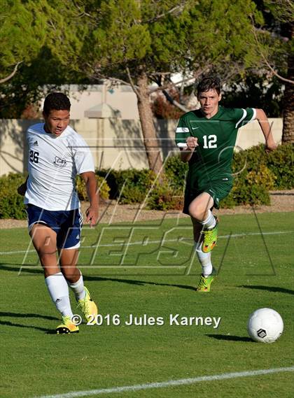 Thumbnail 1 in Adelson vs. Virgin Valley photogallery.