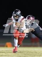 Photo from the gallery "Braden River @ Port Charlotte"