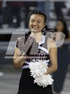 Photo from the gallery "Braden River @ Port Charlotte"