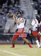 Photo from the gallery "Braden River @ Port Charlotte"