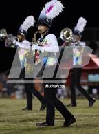 Photo from the gallery "Braden River @ Port Charlotte"