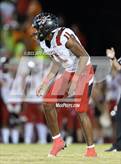 Photo from the gallery "Braden River @ Port Charlotte"