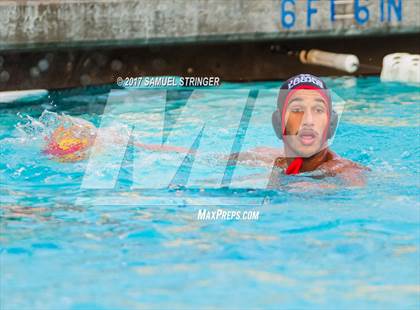 Thumbnail 3 in Castro Valley @ James Logan photogallery.