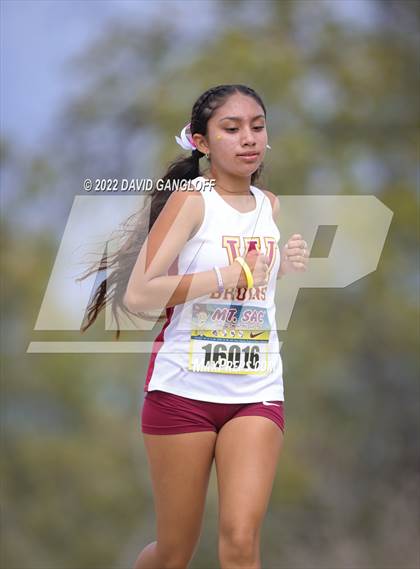 Thumbnail 1 in Mt SAC Invitational (Division 1 - Race 81)  photogallery.