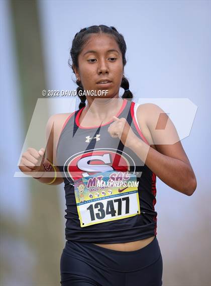Thumbnail 1 in Mt SAC Invitational (Division 1 - Race 81)  photogallery.