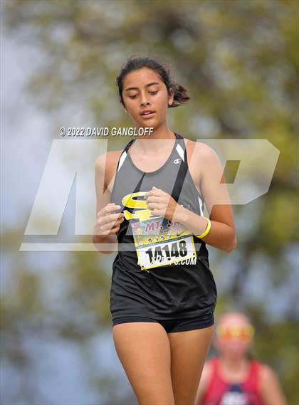 Thumbnail 3 in Mt SAC Invitational (Division 1 - Race 81)  photogallery.