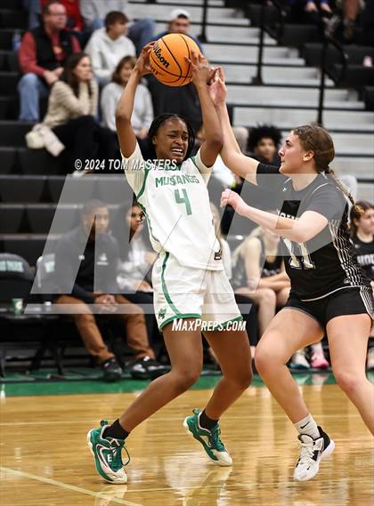 Thumbnail 1 in Hough @ Myers Park photogallery.