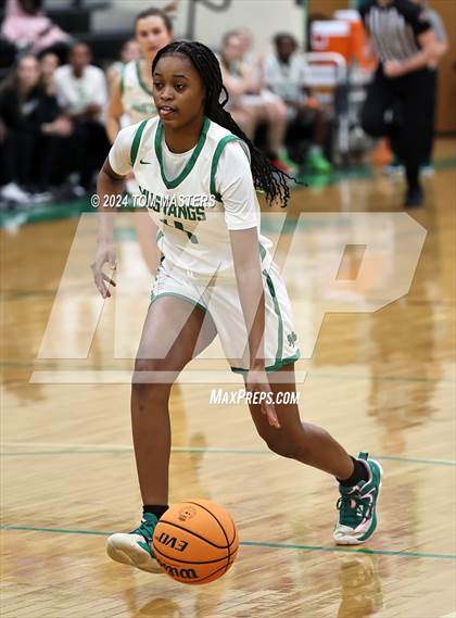 Thumbnail 1 in Hough @ Myers Park photogallery.