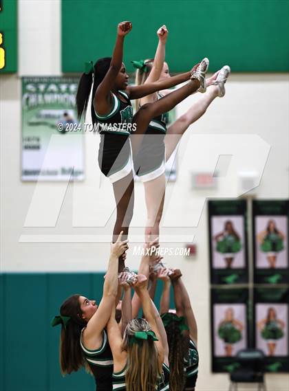 Thumbnail 1 in Hough @ Myers Park photogallery.