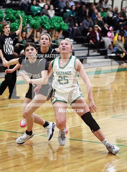 Thumbnail 1 in Hough @ Myers Park photogallery.