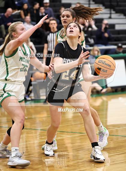 Thumbnail 3 in Hough @ Myers Park photogallery.