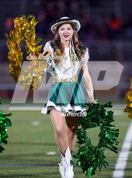 Thumbnail 2 in Ferris @ Benbrook photogallery.