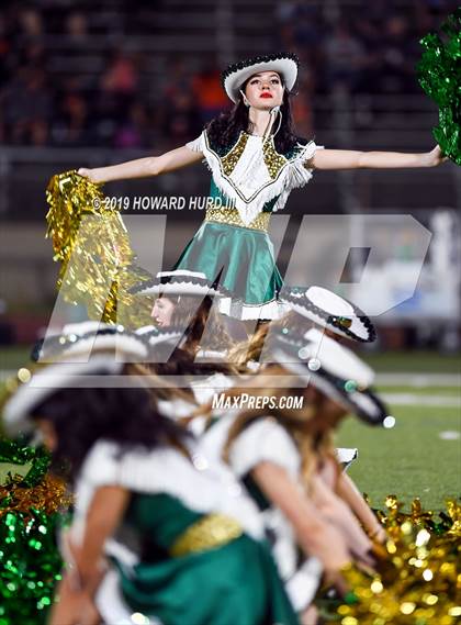 Thumbnail 1 in Ferris @ Benbrook photogallery.