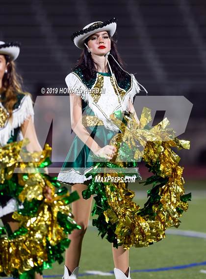 Thumbnail 3 in Ferris @ Benbrook photogallery.