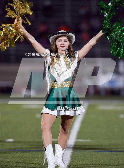 Thumbnail 3 in Ferris @ Benbrook photogallery.