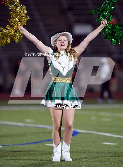 Thumbnail 3 in Ferris @ Benbrook photogallery.