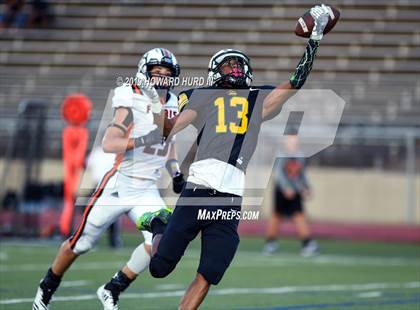 Thumbnail 3 in Ferris @ Benbrook photogallery.