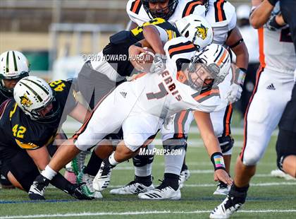 Thumbnail 1 in Ferris @ Benbrook photogallery.
