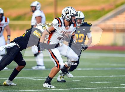 Thumbnail 1 in Ferris @ Benbrook photogallery.